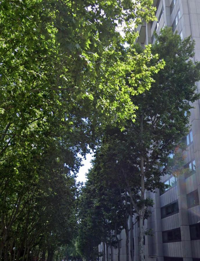 Bernabeu, Luxury Y Luminoso Apartamento Entero 马德里 外观 照片